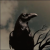 :iconrabenschrey: