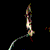 :iconraccebe: