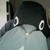 :iconraccguin: