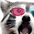 :iconraccoonsounds: