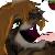 :iconraccoonxiii: