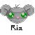 :iconraccoony: