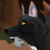 :iconracefan105: