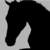 Racehorsee :iconracehorsee: