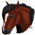 :iconracehorselover: