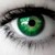 :iconrach1225: