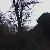 :iconrach1510: