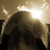 :iconrachael-joanna:
