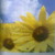 :iconrachael2206: