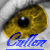 :iconrachaelupton: