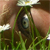 :iconrachelk-nl: