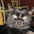 :iconrachelkennelly: