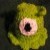 :iconrachelwig:
