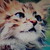 :iconrachx47774: