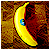 :iconracora: