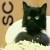 :iconrad-mania: