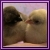 :iconradiant-bantam: