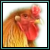 :iconradiant-bantam: