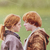 :iconradiant-face:
