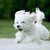 :iconradiantflower: