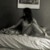 :iconradiantlenore: