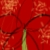 :iconradiatingradiata: