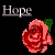 :iconradicaldreamer-421: