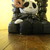 :iconradio-activecupcake: