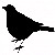 :iconradioactivemoos:
