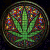:iconradioactiveoverflow: