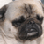 :iconradiodrop: