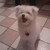 :iconradiojelly: