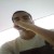 :iconradyth: