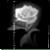 :iconrae-rae-666: