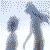 :iconraehart: