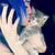 :iconraemayrie: