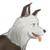 :iconraepdog: