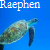 :iconraephen: