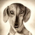 :iconraerae0406: