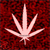 :iconrafa09507: