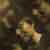 :iconrafini07: