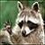 :iconragdoll-homicide: