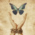 :iconragdoll-pm:
