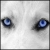 :iconragelfragel: