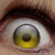 :iconraggdog: