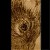:iconragged-wolf-running: