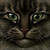 :iconraggedfur: