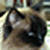 :iconraggyann321: