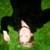 :iconragnhild291: