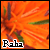 :iconRahanarah: